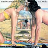 Trillwave 3 (2013)