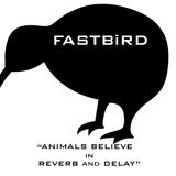 FASTBiRD | AniMals BelievE in ReVerb and DeLay