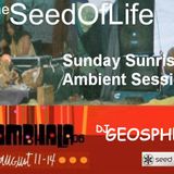 GEOSPHERE Shambhala Music Festival dj set 2006