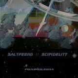 SCIFIDELITY mixtape for PDXinDub.com