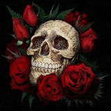 House Mix 2 2015 Deep-Rose