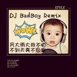 DJ BaDBoY REMIX 2015 vol:1(风大雨大我不怕 不到天亮不回家)