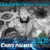 Chris Palmer Earthdance KZN Psy