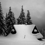 Winter Feeling 2010