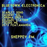 Bluetown Electronica live show 01.02.15