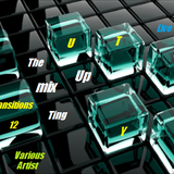 The Mix Up Ting- Transitions 12 (Dj Kuttye Live In The Mix)(Various Artists)