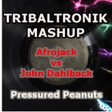 Afrojack vs John Dahlback - Pressured Peanuts (Tribaltronik Mashup)