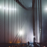 into the fog