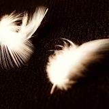 Erotic Pleasures Around Midnight