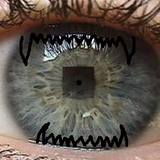 in my eyes u seem permanently drunk
