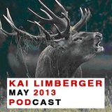 Kai Limberger Podcast May 2013