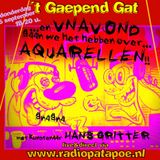 Proefaflevering 59 Gaepend Gat met kunstenaar Hans Gritter deel 2