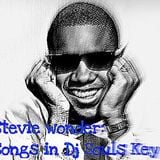 STEVIE WONDER: SONGS IN DJ SOUL'S KEY