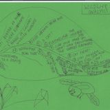 5/5: A story of our mind / A true wildlife analysis