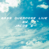 Bass Overdose Live #1