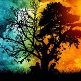 The Progressive 420 Mix - Experimento