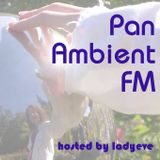 PanAmbientFM_4