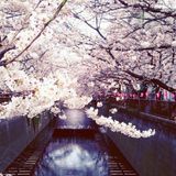 【DAISHI DANCE】 Kazui- san Progressive House Mix 15min 【MITOMI TOKOTO】