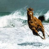 Caspian Wave