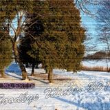 Dj Majestic - Goodbye Winter 2011