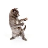 DJ Muis - September 2012