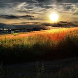 GinGer - Summer Flashback
