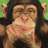 S.O.S Ecología junto a Ana Mellone y Flavia. Tema: Monos en peligro