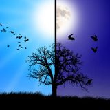 Day Into Night