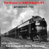 The House of Wild Delights episode 5