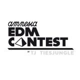 Amnesia EDM contest2015 by Tj Tiesjungle