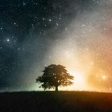 Classic Trance and Uplifting - Sessions 08