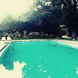 Summer state of consciousness