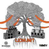 Lion Unit @ Boom Town Fair 2014 - Tangled Roots (Part 1)
