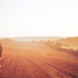 Into the Dust