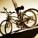 Paseo en bicicleta - Versión 1.0