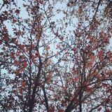 Sonotone #337 - 16 Apr 2014