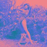 WELCOME TO THE PSYCHOJUNGLE