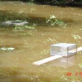 TRAPS0013: Pandemic