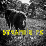 Synaptic FX - Earthfest 2013