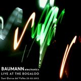 BAUMANN.electronics @ Bogaloo