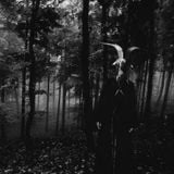 Forest of Black