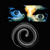 Evolution Flashback by NubDub