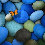 Episode - 009 - ButterFLY