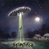Alien Abduction