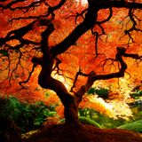 Electrautumnic Filthcast - September '15