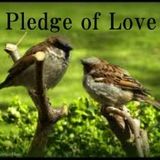 Pledge Of Love
