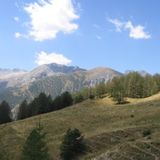 peter - spring