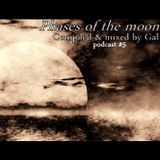 phases of the moon