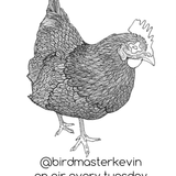 Birdmaster Kevin - RWD.FM Broadcast 5/12/2015