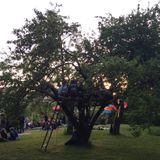 Early Set @ Husknuten (June 2015)